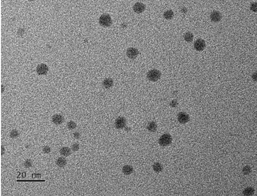 Sử dụng sáng tạo các hạt nano sunfua bạc trong hydrogel mạng đôi đáp ứng ánh sáng cho liệu pháp quang nhiệt ung thư