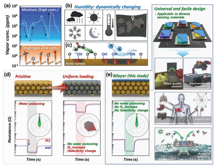 surface hydroxyl engineering